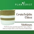 thumbnail image 2 of Planterist Cesta Organizadora Chica Tejida – Algodón Lavable, Plegable y Portable – Multiusos 19.5x17.5 cm para Almacenaje, Decoración y Ropa Sucia (Pátzcuaro), 2 of 9