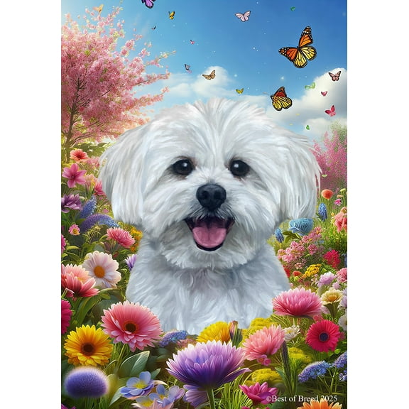 Maltese - Best of Breed Spring Butterfly Outdoor House Flag 28" x 40" Mailbox Flag