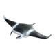 thumbnail image 5 of Juguetes realistas de figuras de animales marinos, juguetes para niños, juguetes educativos para niñas, niños, niños, 5 of 9