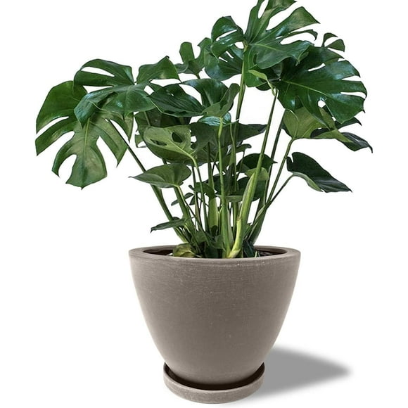 Maceta Ceramica de 25.4 cm con Drenaje y bandeja gris Elly Decor ED-MCD01BK