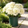 thumbnail image 2 of Hydrangea Artificial Flower for Outdoor, 4 Bundles Fake Hydrangea Bush Plant UV Resistant for Outdoors Front Porch Indoor Home Garden Decor, White, 2 of 9