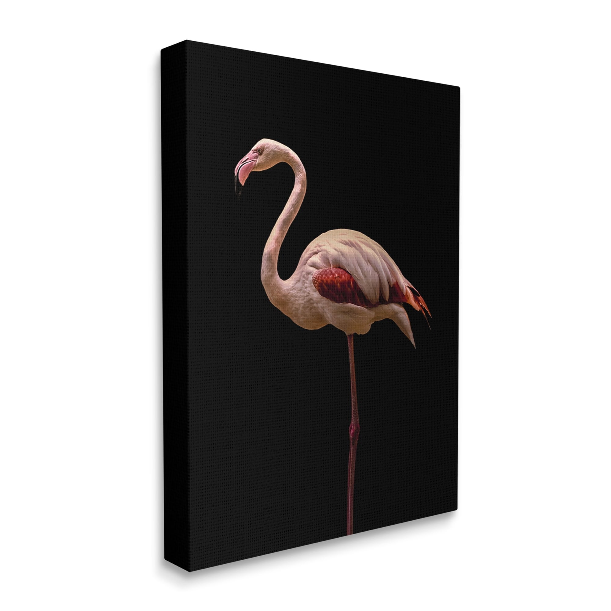 Stupell Industries Striking Pink Flamingo Portrait Detailed Photography , 16 x 20, Design by Incado