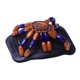 thumbnail image 2 of Perlas de madera retro Magic Hair Comb Inserto de horquilla de doble fila TFixol  Peine, 2 of 7