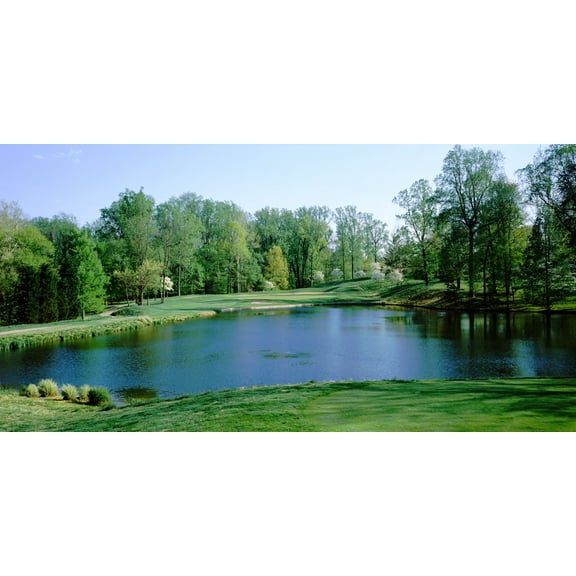 Biggies-Golf Murals-Bethesda 120" x 60"