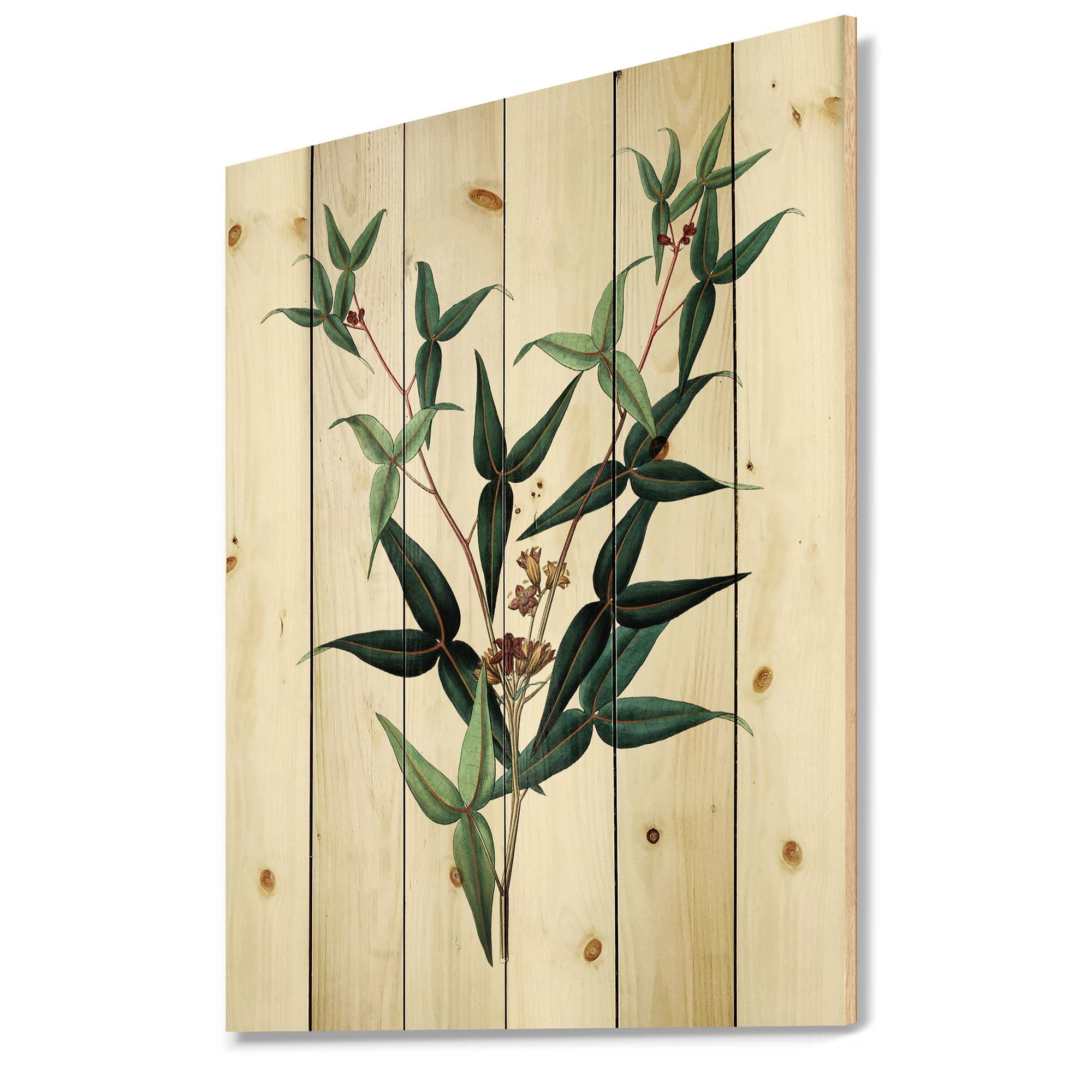 Designart 'Ancient Green Leaves Plants VIII' Traditional Print on Natural Pine Wood