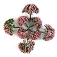 thumbnail image 2 of 28pcs Modelo de árboles Modelo de árbol de colores mezclados Mini árbol verde, 2 of 7
