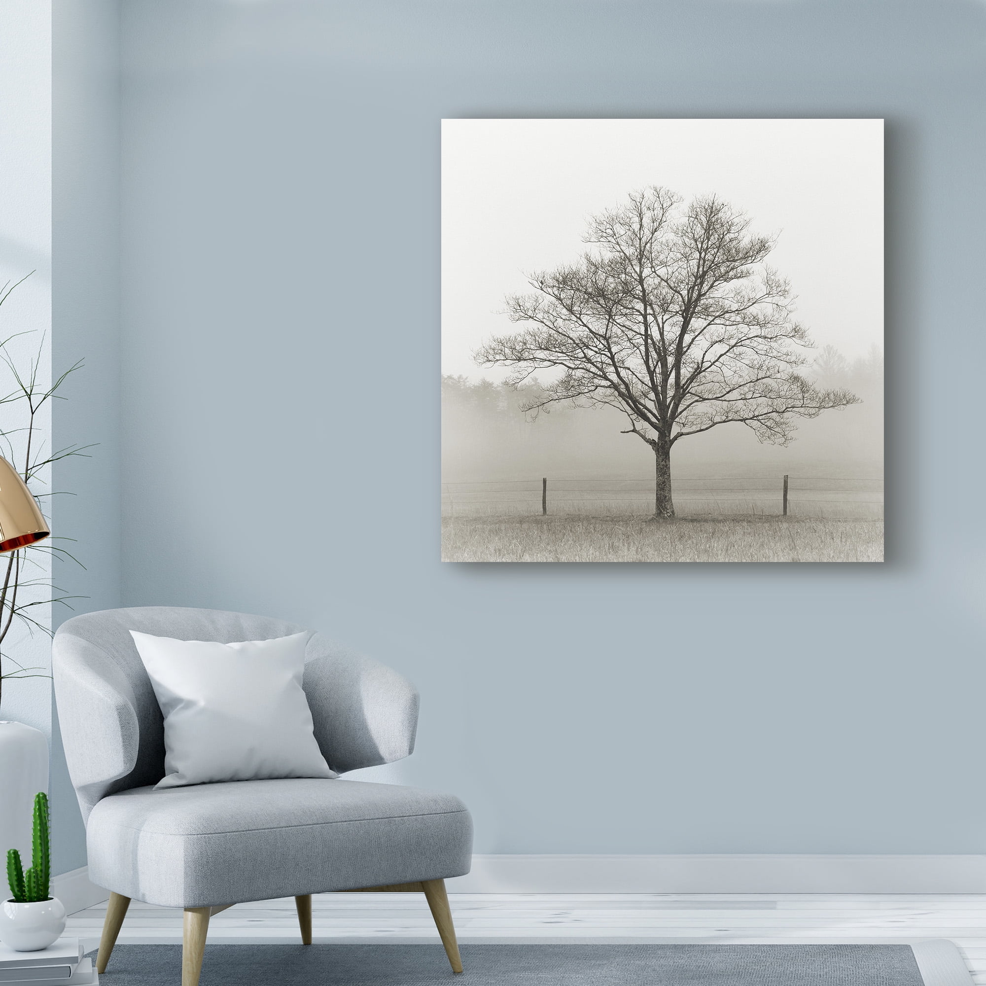 Trademark Fine Art 'Winter Tree, Cades Cove' Canvas Art by Nicholas Bell Photography