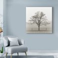 thumbnail image 3 of Trademark Fine Art 'Winter Tree, Cades Cove' Canvas Art by Nicholas Bell Photography, 3 of 3