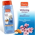 Hartz Groomer's Best Whitening Shampoo for Dogs with Almond Extract