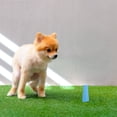 thumbnail image 4 of TEHAUX Puppy Litter Box Dog Potty Post Plastic 1Pcs Indoor Solution, 4 of 8