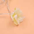 thumbnail image 5 of CAROOTU 2.2 Meter 20 LED Rose Light String Indoor Outdoor Bright Warm Rose Flower Lamp, 5 of 5