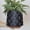 Pearl Black, variant on GUGUGO Pearl Black Scale Planter, Cute Unique Plant Pot with Drainage, Eclectic Colorful Small Flower Planters Pots for Indoor & Outdoor Plants, Rainbow Funny Succulent Gardening Pot Gifts