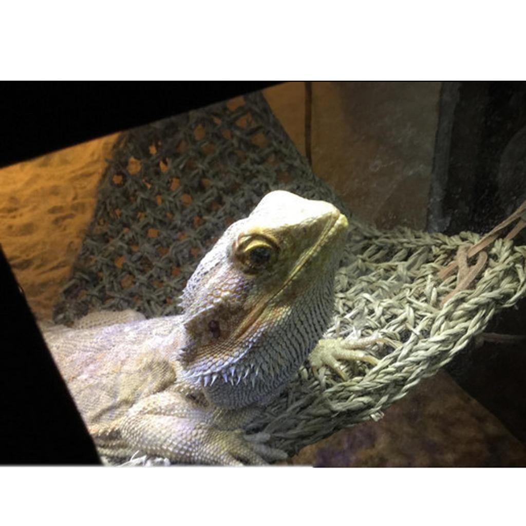 1 piece Hammock, Reptile Lounger Natural Seagrass Seaweed Fibers for , Bearded , Geckos, Anoles, Iguanas, Geckos and Hermit Crabs - #1 Rectangle