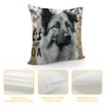 thumbnail image 4 of PHYHOO Dog Themed It's Not Dog Hair It's Anatolian Shepherd Glitter Funny Anatolian Shepherd Silhouette Decorative Throw Pillow Case for Home Living Room Room Decor, White, 4 of 5
