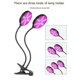 thumbnail image 2 of Luz de ajustable, mpara LED resistente , plantas de interior con brillo regulable azul rojo, luz de de flores de plantas sucu Cabeza única shamjiam Las plantas crecen ligeras, 2 of 8