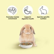 Kaytee Food from The Wild Rabbit Food, 4 Pounds