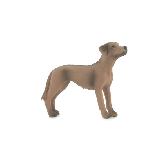 Rhodesian Ridgeback Dog, Rubber Canine, Hand Painted, Realistic Toy Figure, Model, Replica, Kids, Educational, Gift, 2 1/2 Inches. CH732 BB184