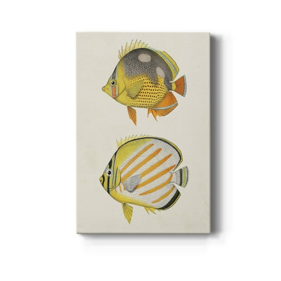 Yellow & Grey Fish IV Premium Gallery Wrapped Canvas - Ready to Hang
