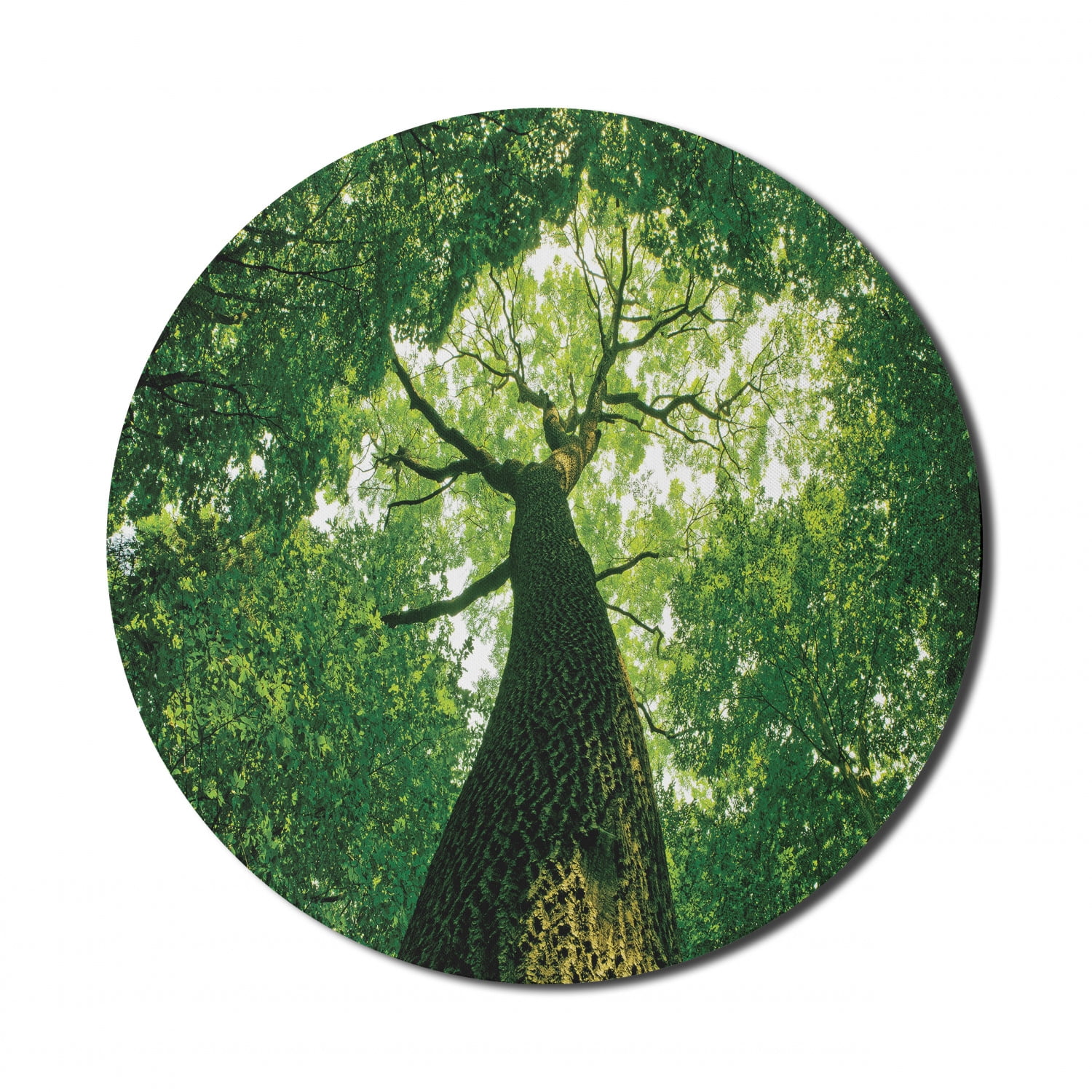 Tree Mouse Pointer Computer Forest Mouse Pad for Computers, Tall Old Tree View Sun Rays Top ...