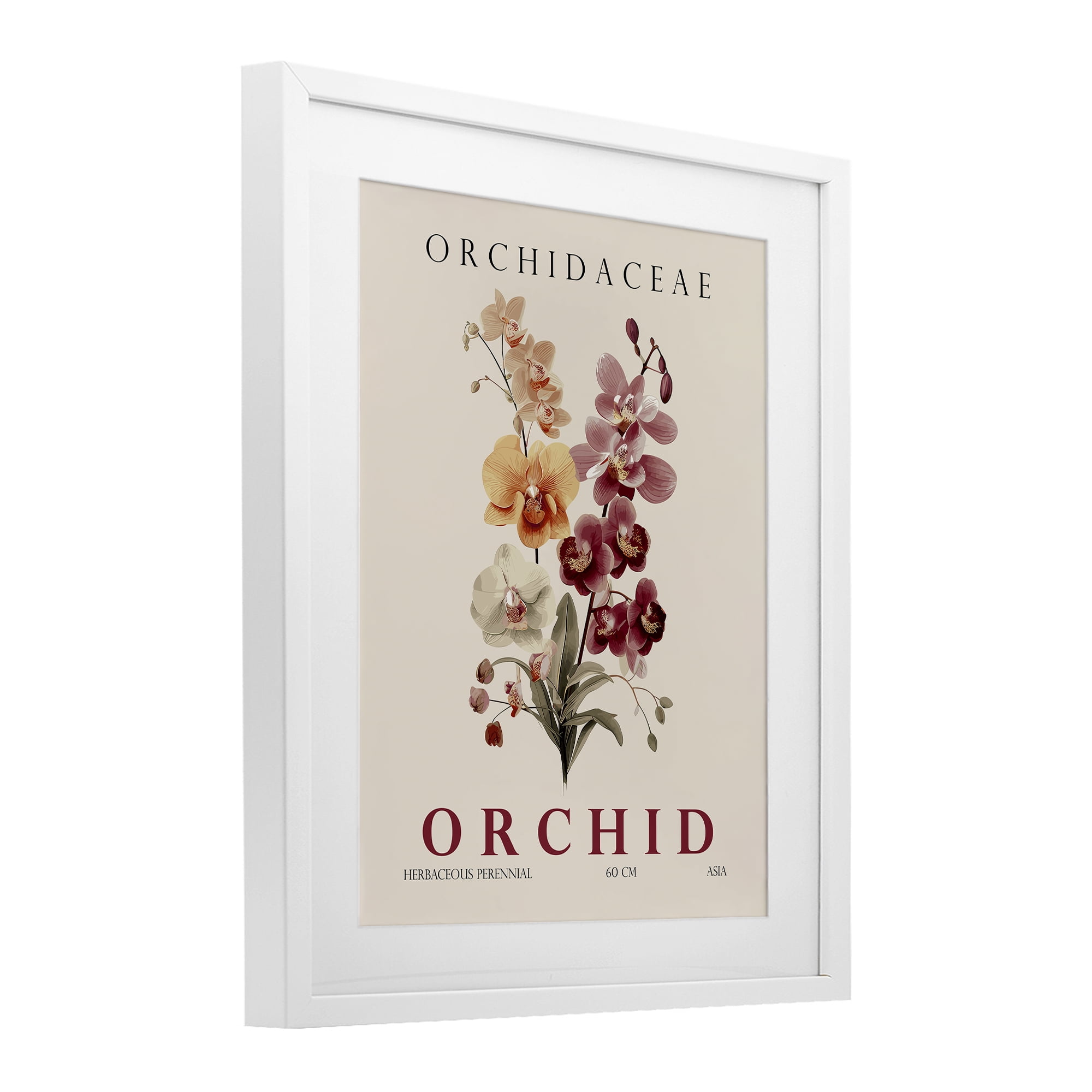 Stupell Industries Natural Orchid Bundle White Framed Print Under Glass, design by Christopher Giampietro