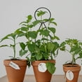 thumbnail image 4 of Plant Climbing Support Frame Flower Pot Stand Climbing Pergola-Golden Four-piece Set, 4 of 8