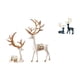 thumbnail image 1 of Elegante Conjunto De Esculturas De Renos Europeos Con Estatuas De Ciervos Sentados Y De Pie, Perfecto Para Coleccionistas Y Entusiastas De La Decoración Del Hogar., 1 of 8