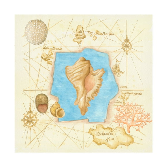 Canvas Wall Art - Andrea Strongwater 'Conch On Map' Wall Art for Living Room, Bedroom, or Office Décor by Trademark Fine Art - 14 x 14 Inches