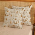 thumbnail image 4 of Fall Pillow Covers 18x18 Autumn Burnt Orange Pumpkins Print Decor Throw Pillows Case for Couch Thanksgiving Harvest Farmhouse Indoor Outdoor Decorative Cushion Cases for Sofa Bed Set of 2, 4 of 6