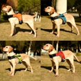 thumbnail image 4 of AMERTEER Dog Harness Pet Luminous LED Harness For Medium Large Dogs Pet Dog Vest Harness, 4 of 6