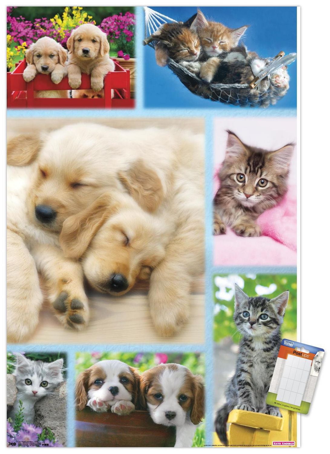 Keith Kimberlin - Puppies and Kittens Collage Wall Poster, 22.375" x 34"