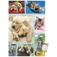 thumbnail image 1 of Keith Kimberlin - Collage de chiots et de chatons, 1 of 4
