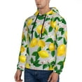 thumbnail image 2 of Bingfone Lemon1 Men'S Drawstring Hoodie Long Sleeve Pocket Sweatshirts-X-Large, 2 of 9