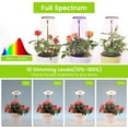 thumbnail image 3 of BeesClover 2 Packs Grow Lights For Indoor Plants With 9 Dimmable Brightness Height Adjustable LED Full Spectrum Plant Light, 3 of 8