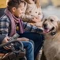 thumbnail image 3 of Collier d'Entraînement en Nylon Imperméable pour Chien Collier d'Entraînement Robuste Rechargeable pour Toutes Races, 3 of 8