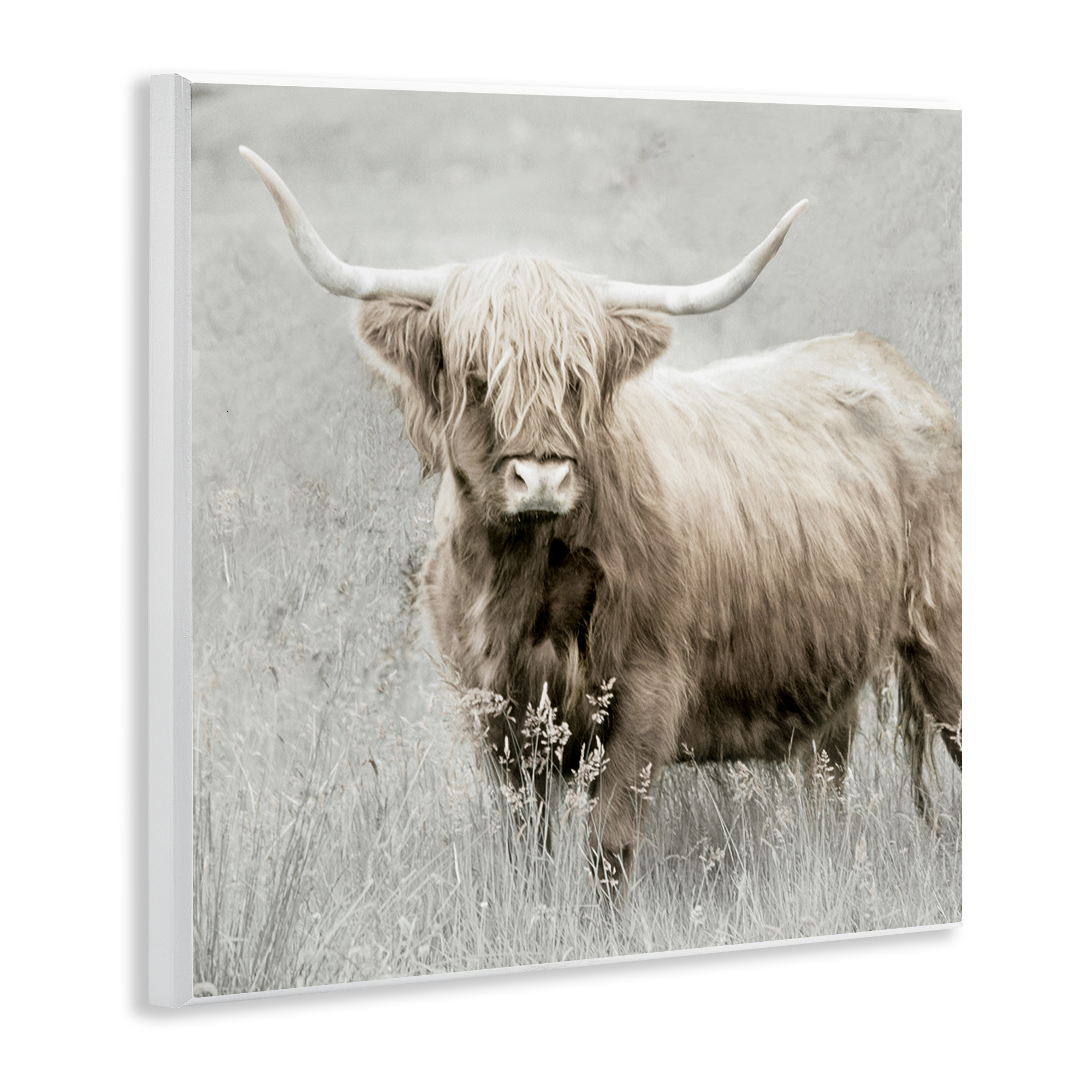 Stupell Industries Subtle Longhorn Cattle Animals & Insects Painting Unframed Art Print Wall Art, 12 x 12