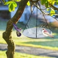thumbnail image 4 of sruoe Bird Feeder, Hanging Bird Feeder Tray, Bird Feeders Outdoor, Cardinal Bird Feeder, Hopper Feeder, Small Large Bowl Wild Bird Feeders for Garden Decor, Silica Gel, 4 of 6