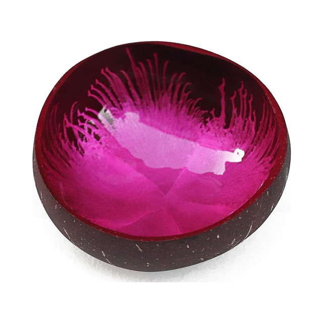 Cuencos para servir de coco, cuenco decorativo para joyería, cuenco para dulces para fiesta de boda de Pascua, plato, soporte para frutos secos, cáscara de coco Natural