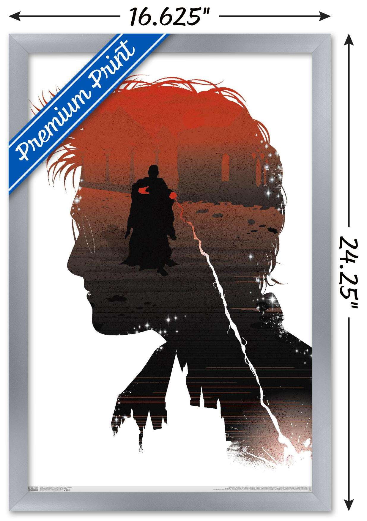 The Wizarding World: Harry Potter - Inner Struggle Wall Poster, 14.725" x 22.375", Framed