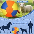 thumbnail image 2 of Herding Ball for Dogs Calming Ball with Cover Handle Inflatable Training Ball for Large Breeds Small Medium Dogs Active Play Exercise, 2 of 8