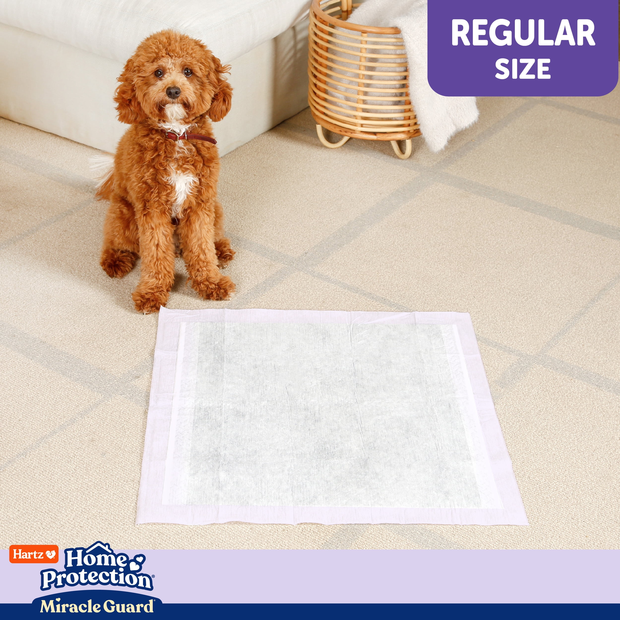 (2 pack) Hartz Miracle Guard Dog and Puppy Pads Max Absorbency 24 Hour Use Odor Eliminating Lavender Scented No Leaks, Regular, 25 Count