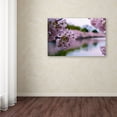thumbnail image 3 of Trademark Fine Art "Cherry Blossoms 2014-2" Canvas Art by CATeyes, 3 of 3