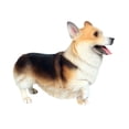 thumbnail image 4 of Figura de perro Corgi, juguete decorativo, mini juguetes educativos, esculturas, juguete de animales pequeños para regalos de fiesta, regalo de fiesta marrón, 4 of 10