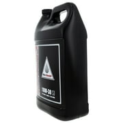 Honda 08C35-A131L02 Genuine GN4 10W30 4-Stroke Motor Engine Oil 1 Gallon ATV Pro
