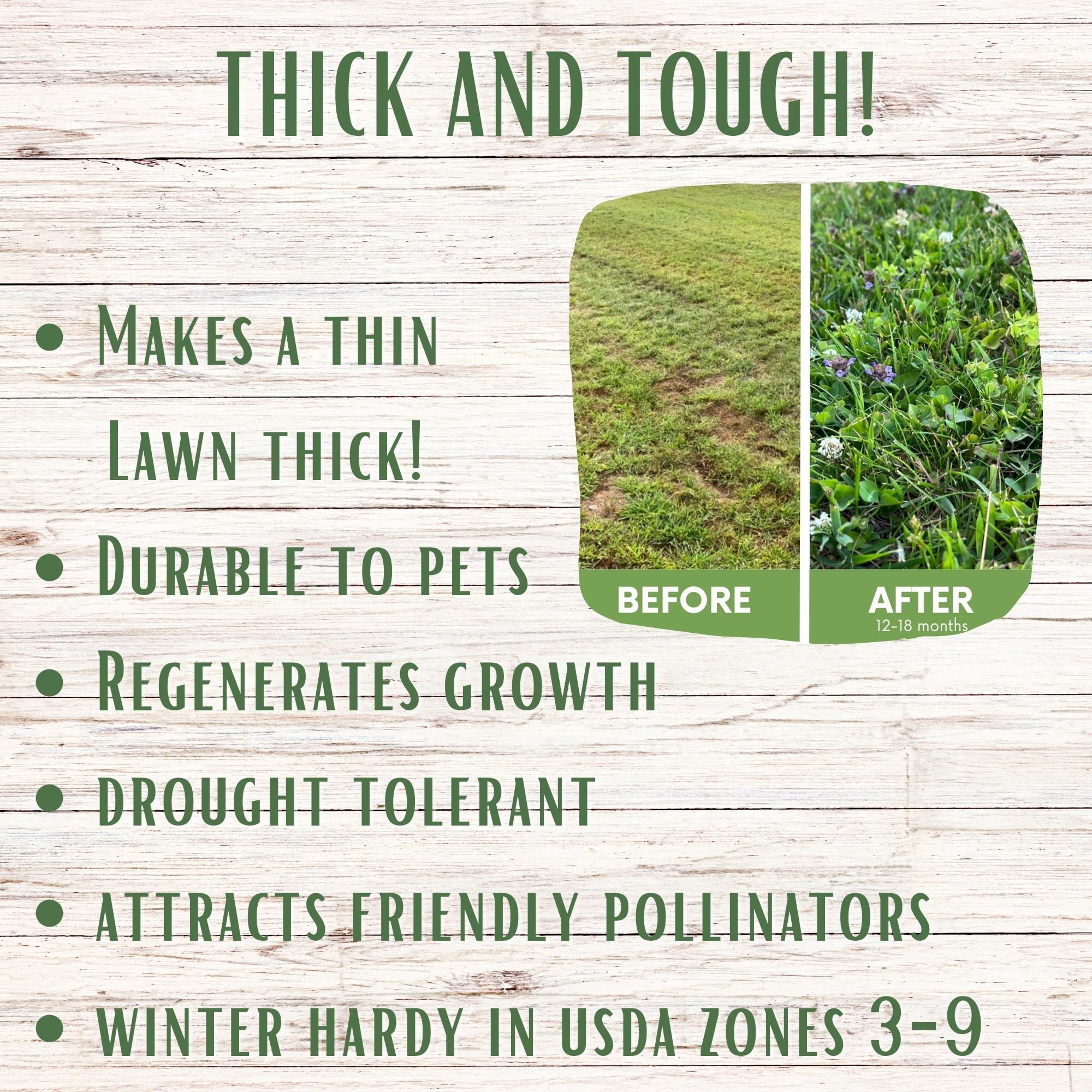 Flawn Seed Kits Thick Bee Lawn Kit, 500 Sqft, Perennial Dutch White Clover, Self-Heal, Fescue Grass, Shaker
