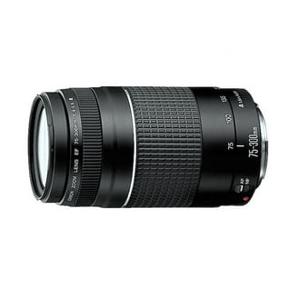 Canon EF-M 32mm f/1.4 STM Lens, Compact and Lightweight (2439C002