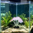thumbnail image 4 of Glow In Dark Silicone Sea Anemone Ornament, Luminous Artificial Coral Plant Fish Tank Decor Aquarium Landscape Underwater Decoration in 5 Colors, 4 of 6