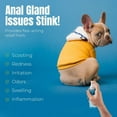 thumbnail image 6 of Petglow Anal Gland Pet Medicine Cat & Dog Spray Pet Supplies for Hygiene, 4 fl Oz, 6 of 8