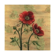 Trademark Fine Art 'Anemone on Wood' Canvas Art by Wendy Russell