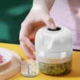 thumbnail image 3 of de eléctrico ámbrico de especias de pimiento vegetal Chop Cebolla Jengibre Blanco 100ML 250ML Gloria Picadora de ajo eléctrica, 3 of 9