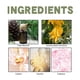 thumbnail image 4 of EELHOE Eau de Toilette, Various Floral and Fruity Notes Cedar Bergamot, 4 of 4